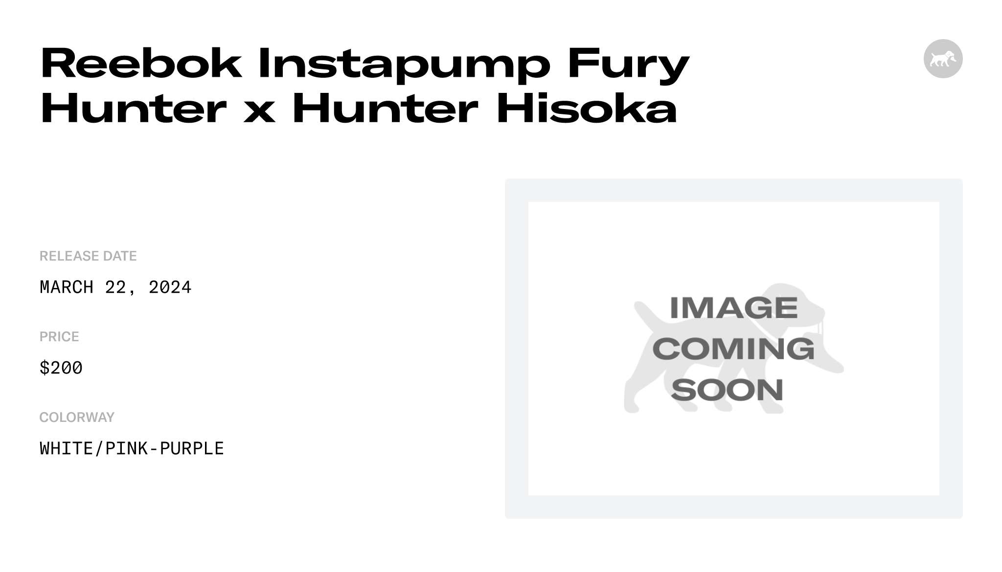 Reebok Instapump Fury Hunter X Hunter Hisoka