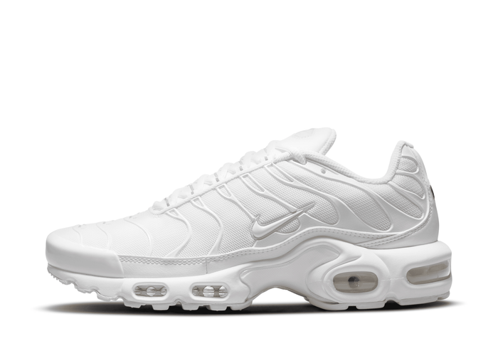 Nike Air Max Plus Shoes in White