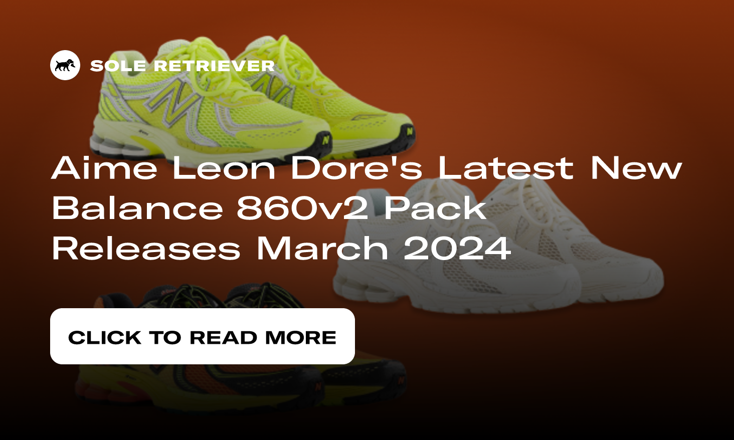 New Balance 860v2 Aime Leon Dore Sneakers