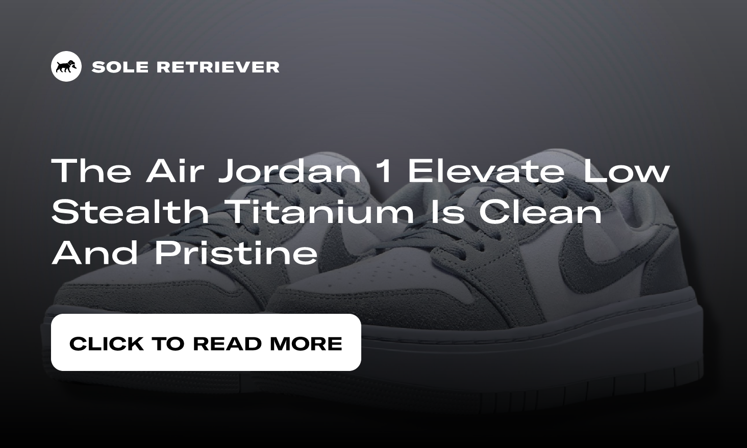 Air Jordan 1 Elevate Low Stealth Titanium DH7004-005