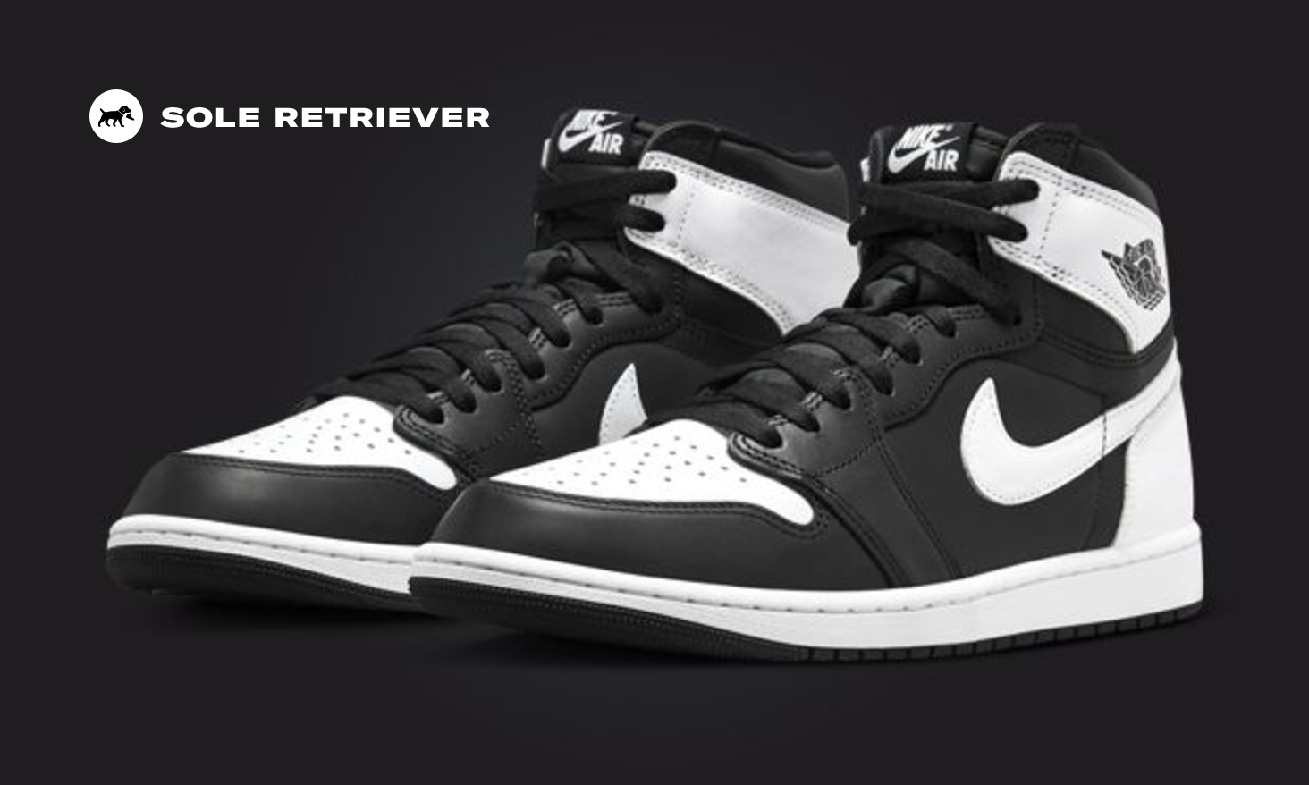 Jordan 1 black white hot sale high