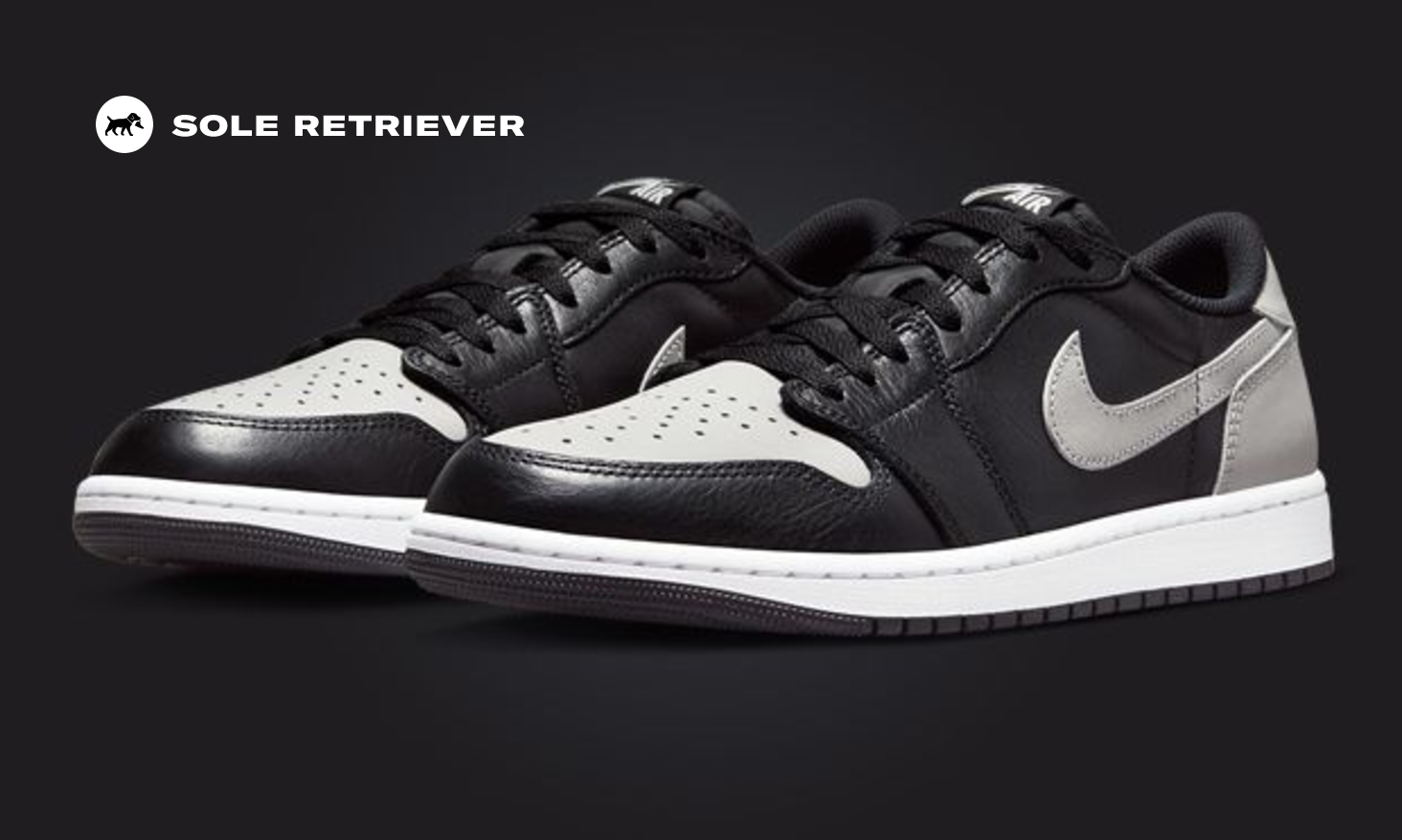 Air jordan 1 hot sale retro low og shadow