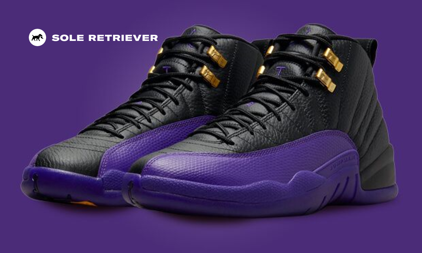 The Air Jordan 12 Field Purple Drops August 12