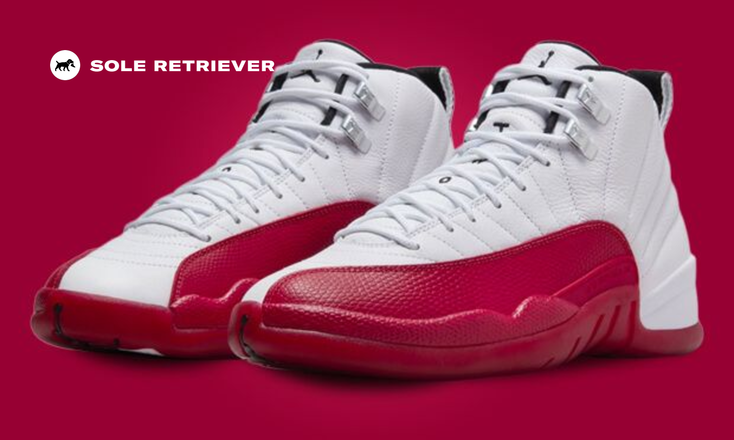 Air Jordan 12 Cherry 2023