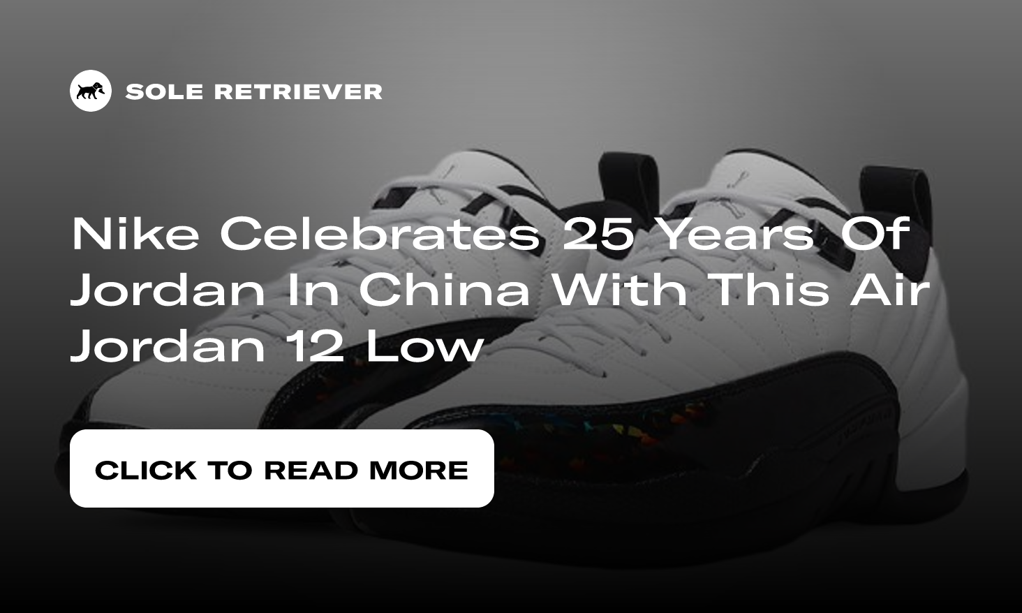 Air Jordan 12 Low 25 Years in China Release Info