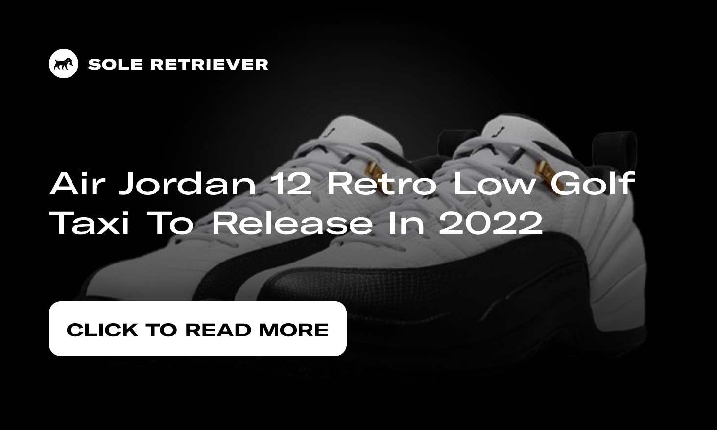 Air Jordan 12 Retro Low Golf Taxi Shoes DH4120-100