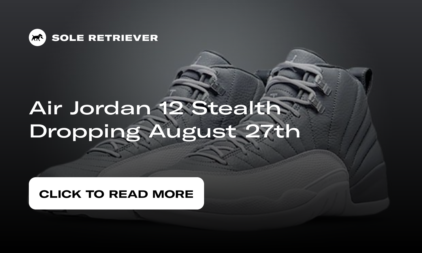 Air Jordan 12 Retro Stealth