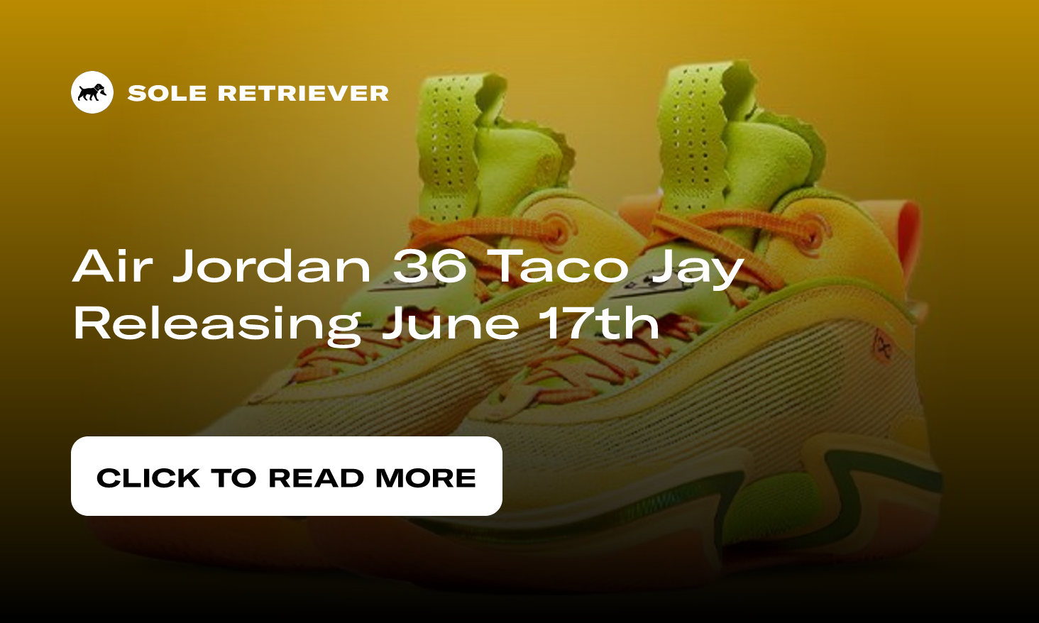 Air Jordan Men's Taco Jay Basketball Shoes