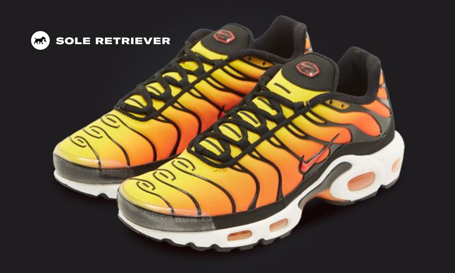 Air max plus on sale sunset