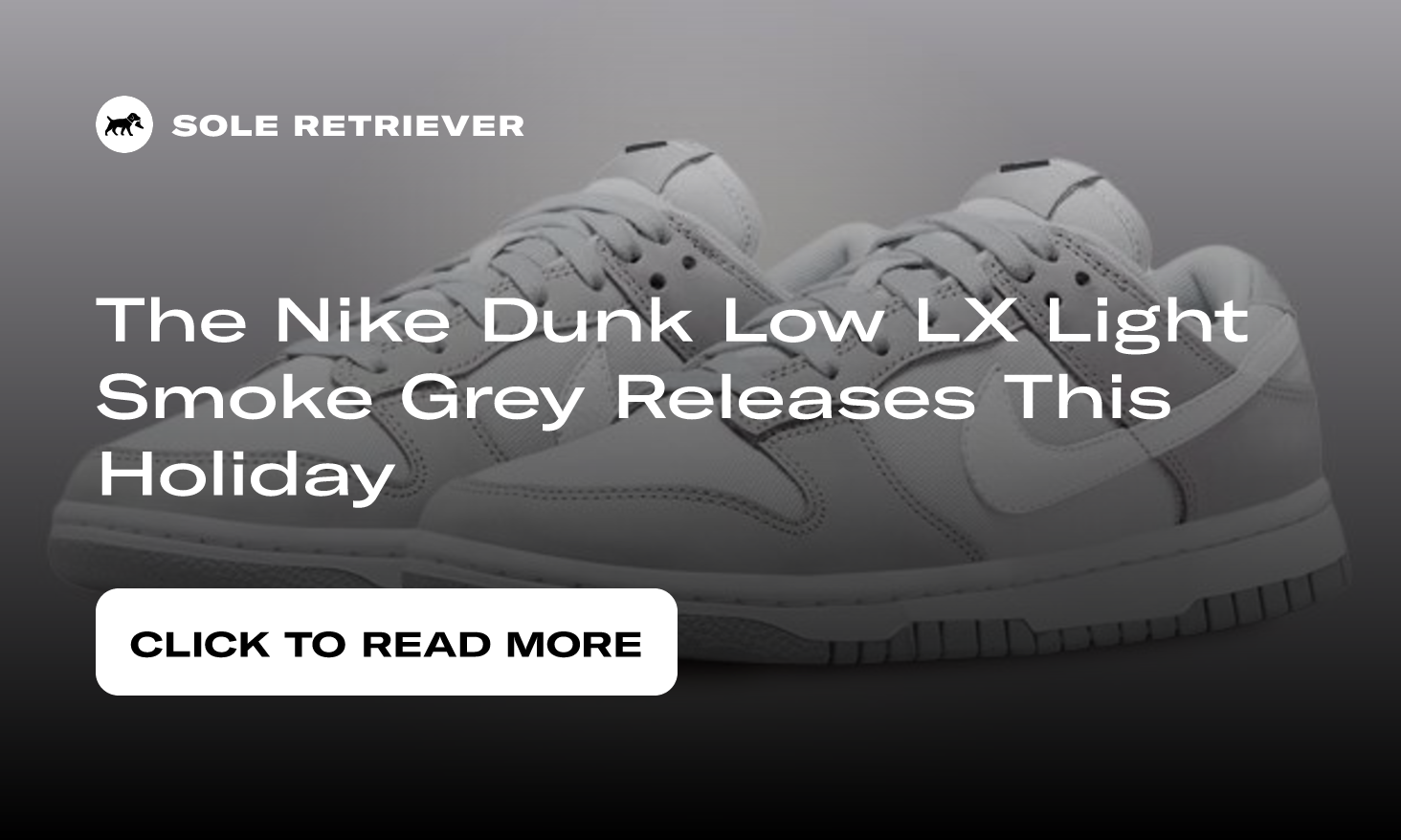Nike Dunk Low LX Light Smoke Grey (Women's)