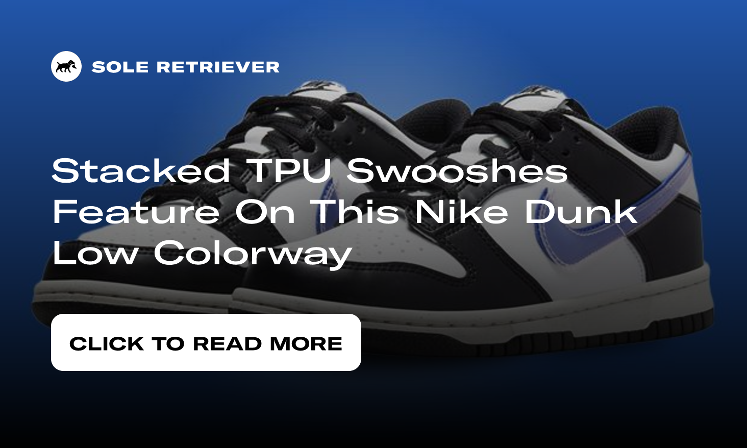Nike Dunk Low Next Nature GS 'TPU Swoosh' in 2023