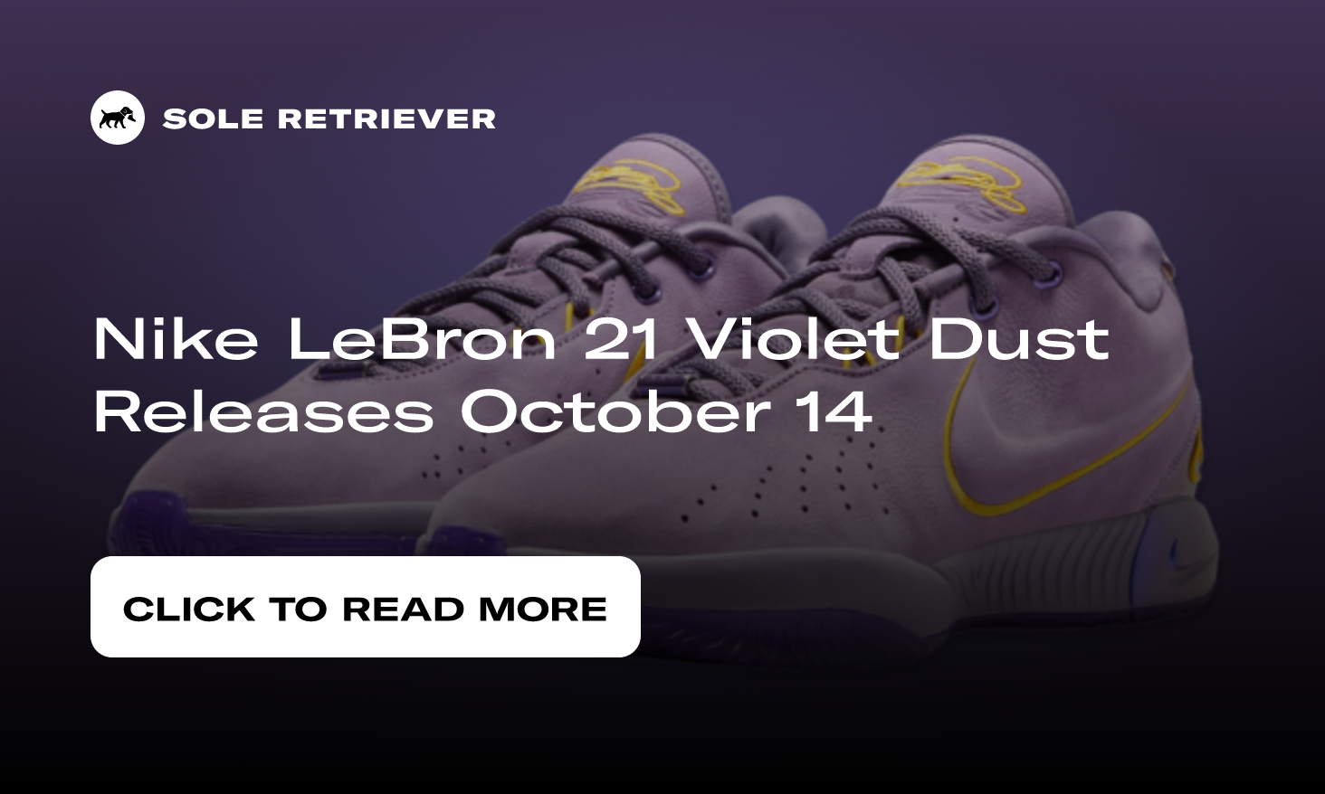 Nike LeBron 21 Purple Rain FV2345-500 Release Date