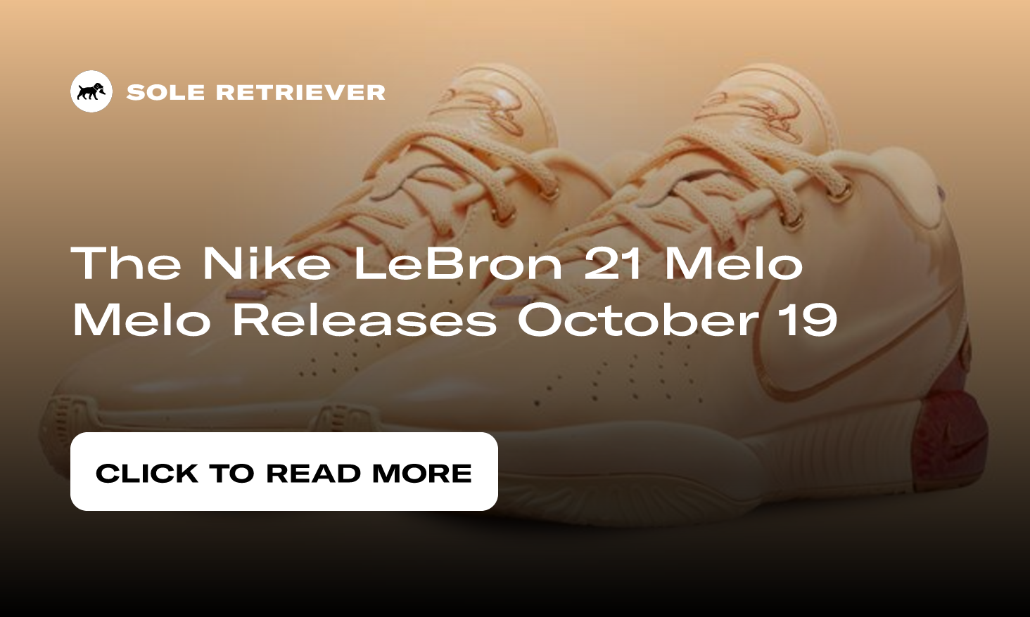 The Nike LeBron 21 Melo Melo Releases October 19