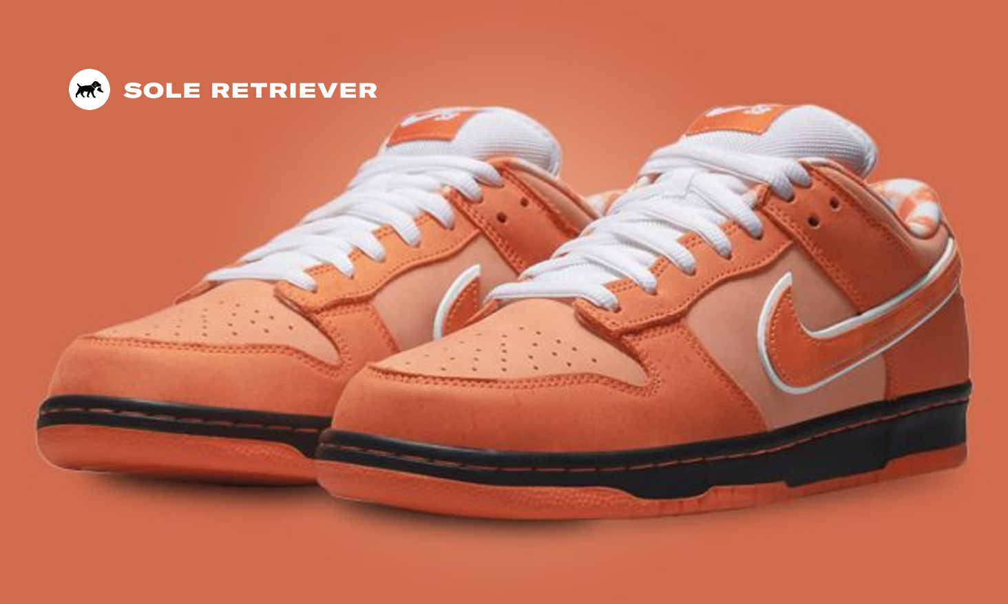 Nike Dunk SB Low Concepts Orange Lobster - FD8776-800 Raffles and Release  Date