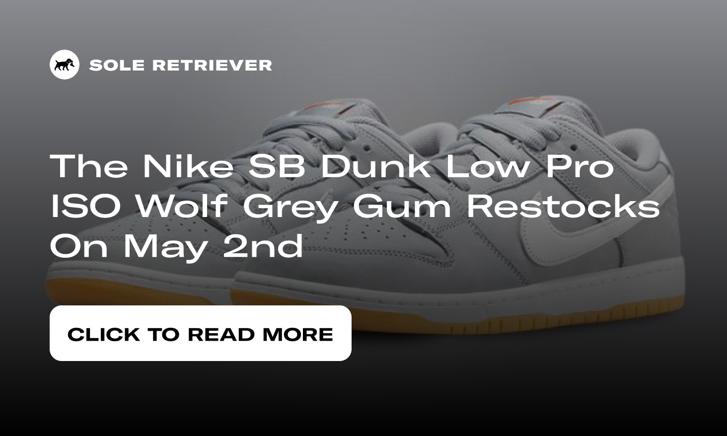 Tênis Nike SB Dunk Low Pro Grey/Gum Cinza - Matriz Skate Shop Online
