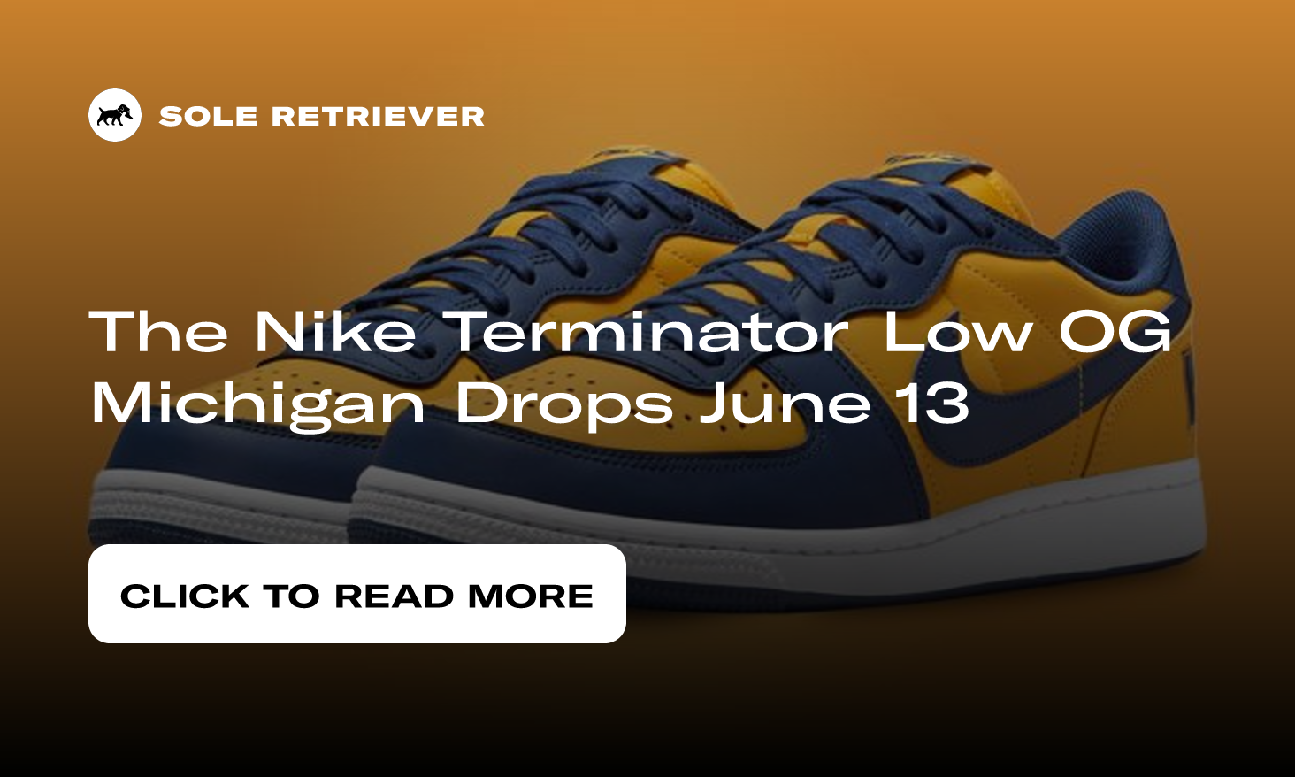 The Nike Terminator Low OG Michigan Drops June 13