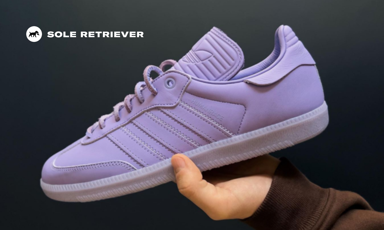 Pharrell adidas Humanrace Samba Lilac Release Info