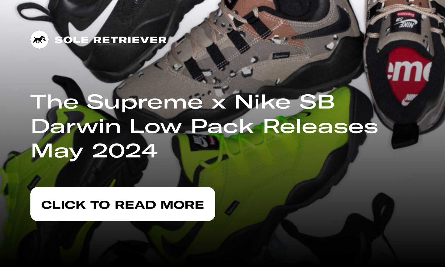 Supreme Nike SB Air Darwin Low Black FQ3000-001 Release