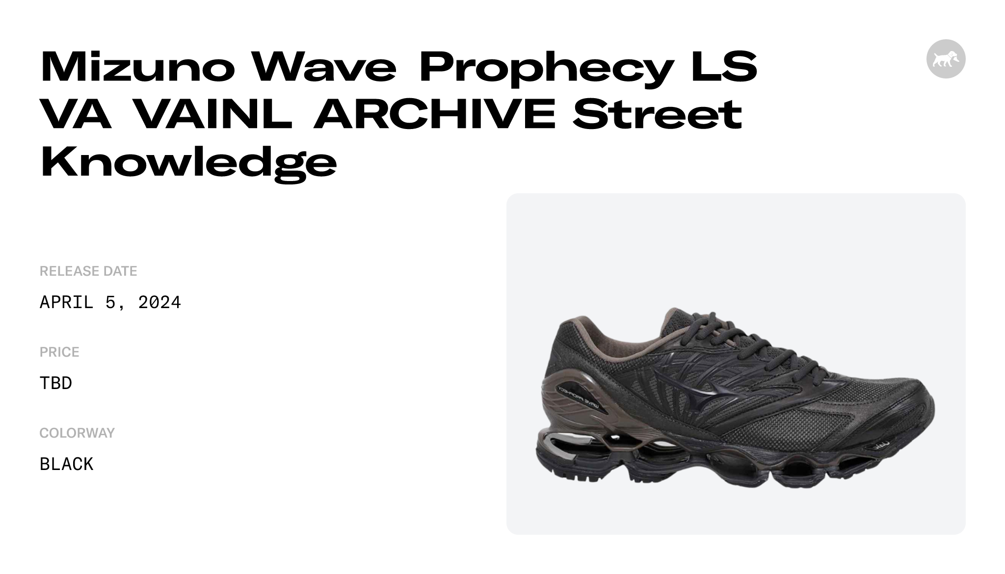 Mizuno Wave Prophecy LS VA VAINL ARCHIVE Street Knowledge ...