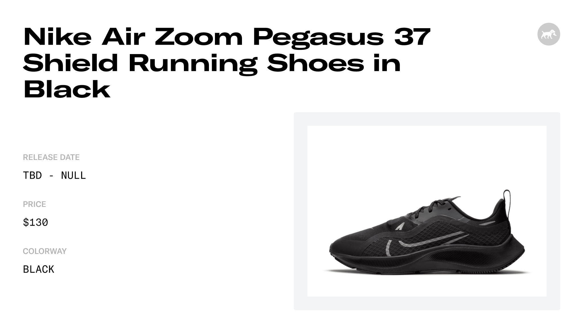 Nike Air Zoom Pegasus 37 Shield Running Shoes in Black - CQ8639-001 ...