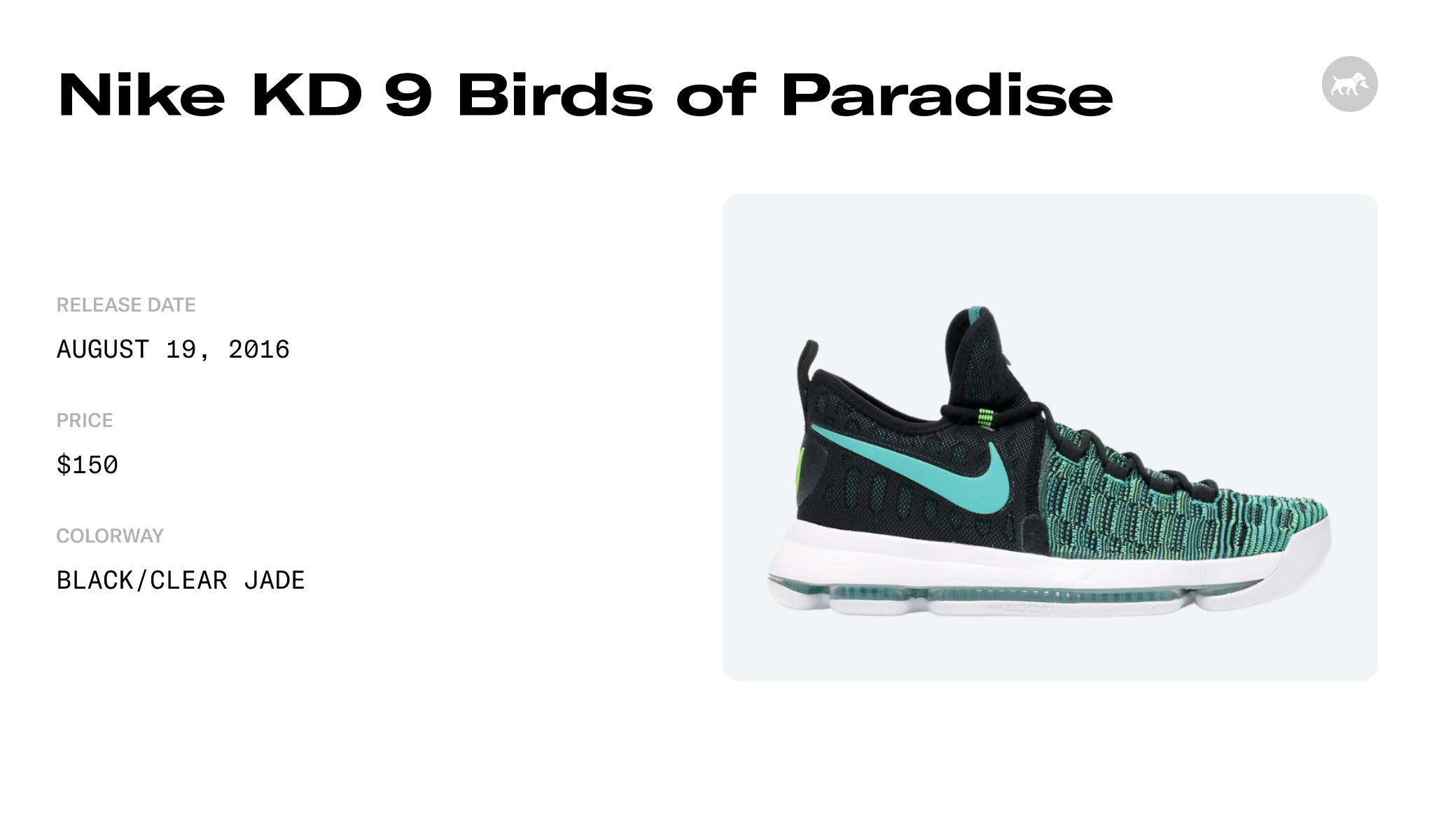 Kd birds clearance of paradise