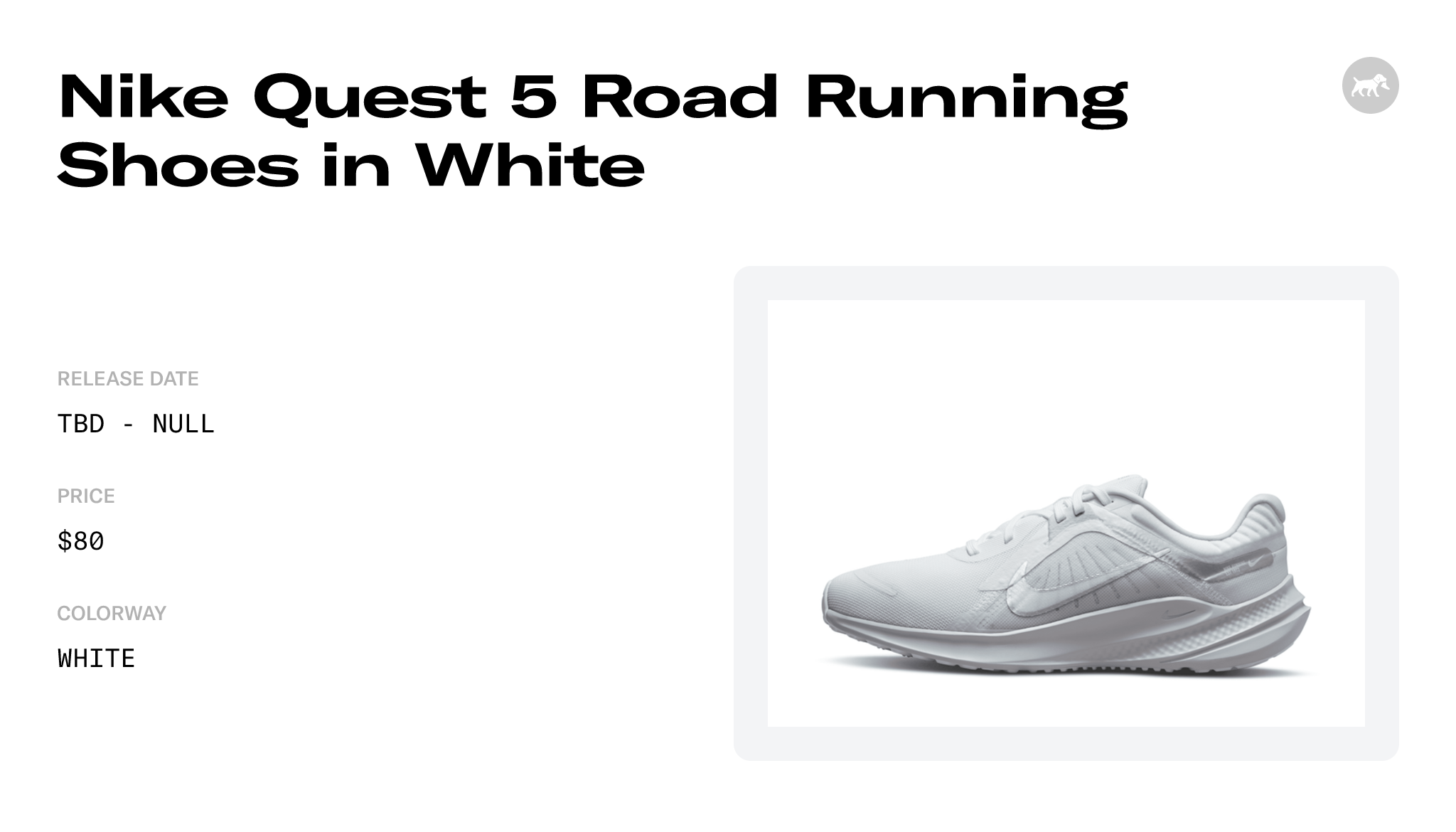 Womens Nike Quest 5 Runner White/Silver